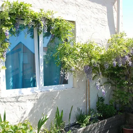 Studio Neuf De 17 M2 A 800m De La Plage De Sur Mer